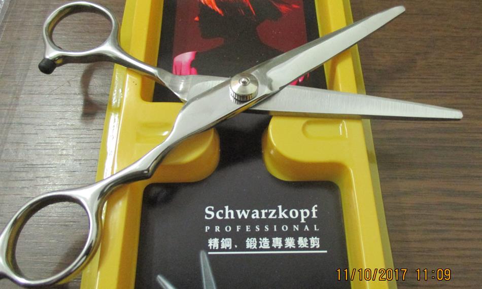 2017-11-13-116CU pro Stř_ kraj_padělky Schwarzkopf_2.JPG